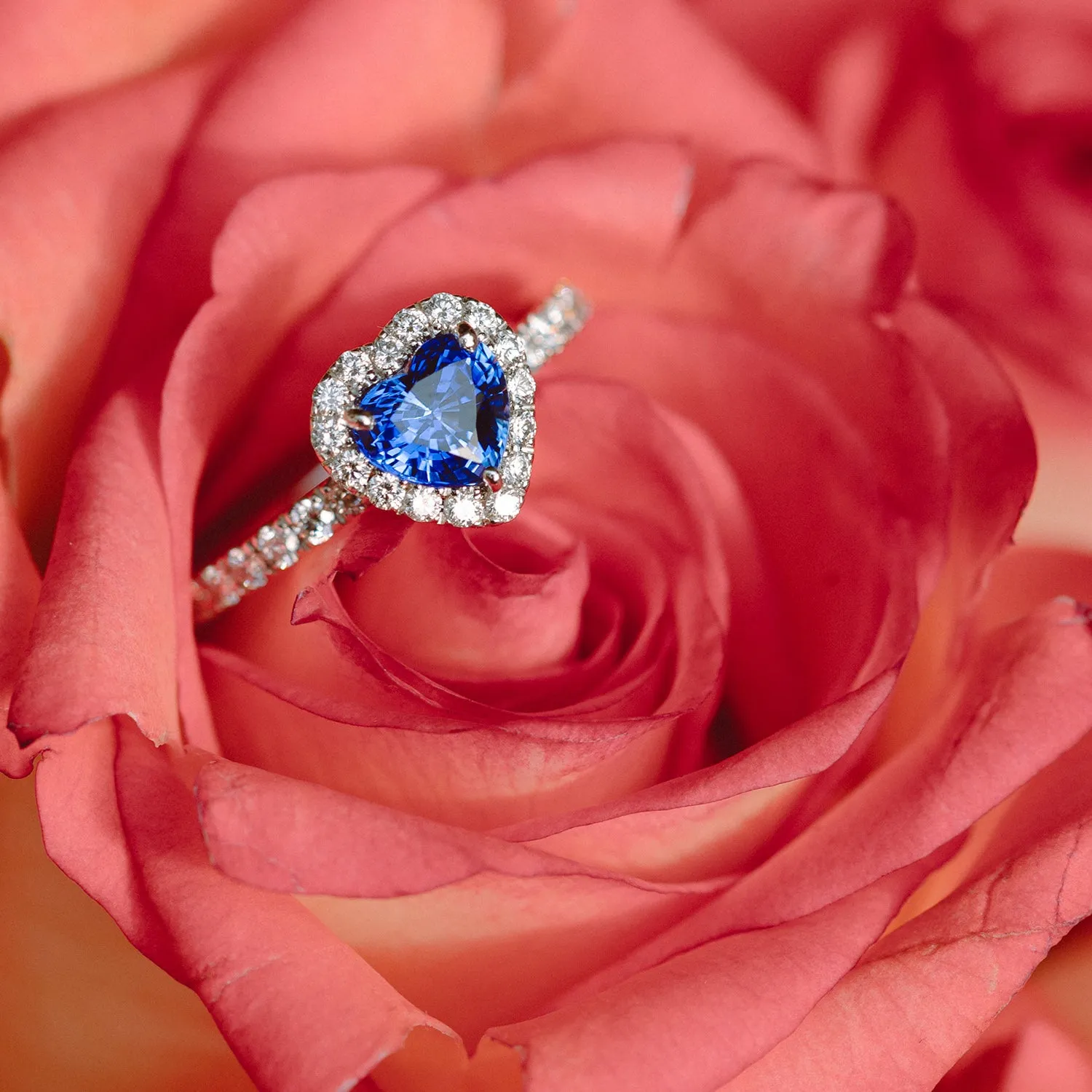 ANILLO CHROMATIC GRANDEURS 