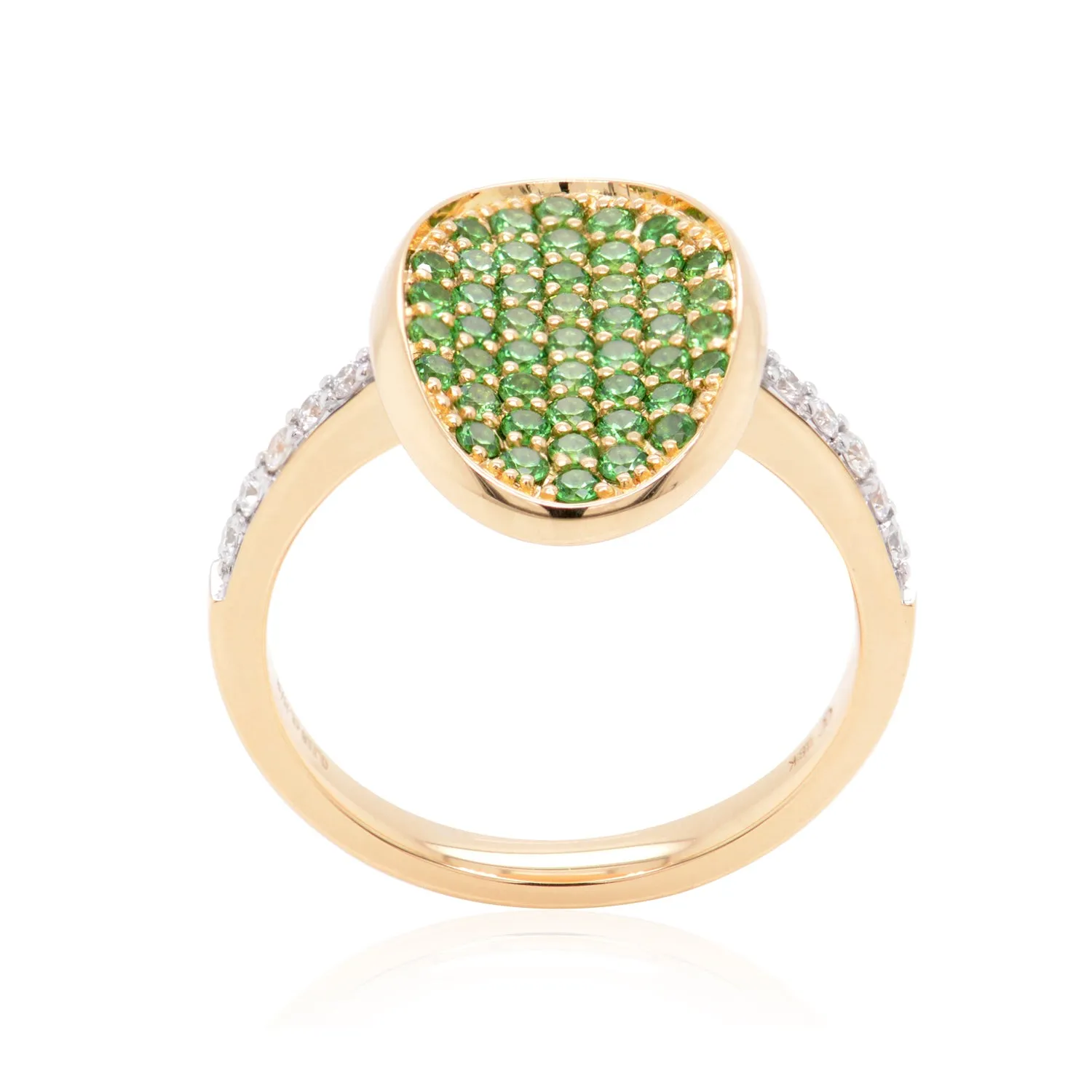 ANILLO NATURA 