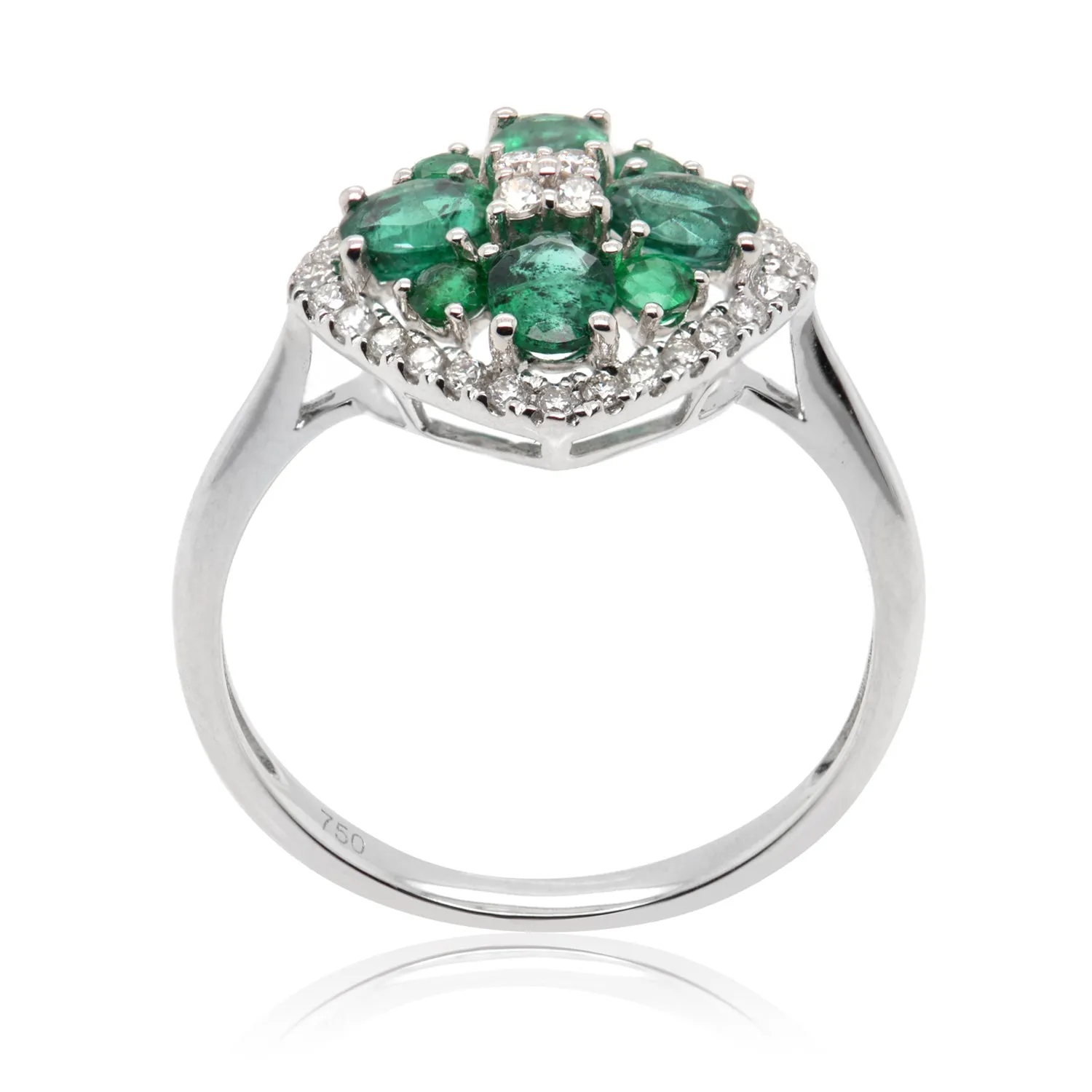ANILLO 