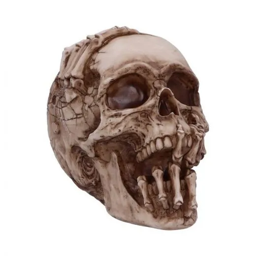 Calavera breaking out