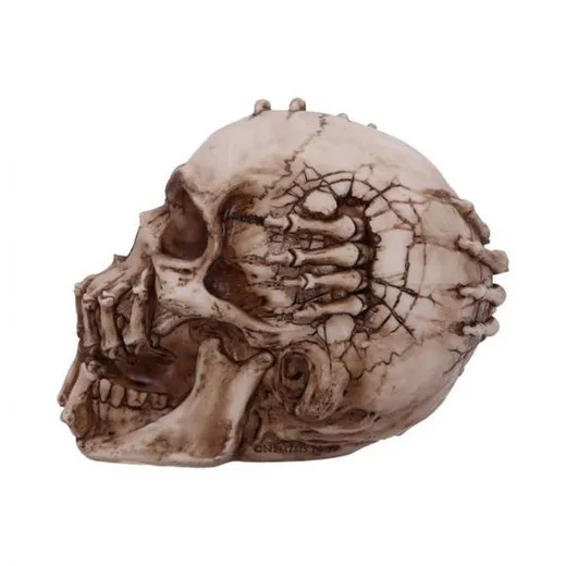 Calavera breaking out