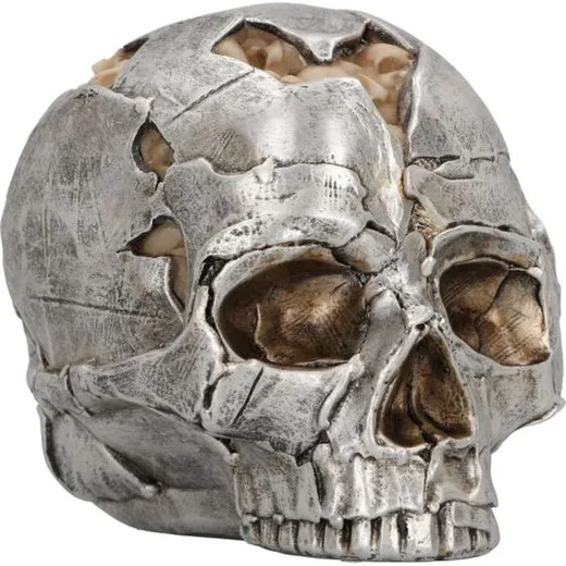 Cráneo Fracture