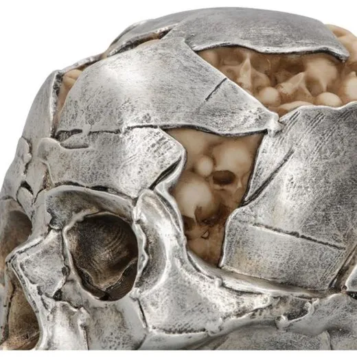 Cráneo Fracture