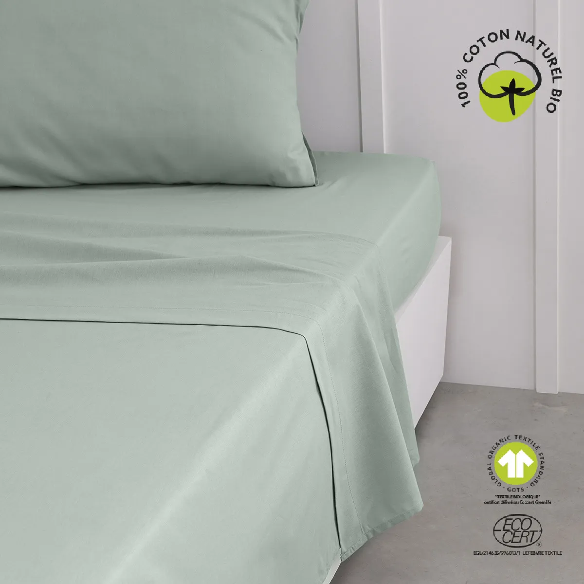 Drap Plat 240/300 Coton TODAY Organic Celadon