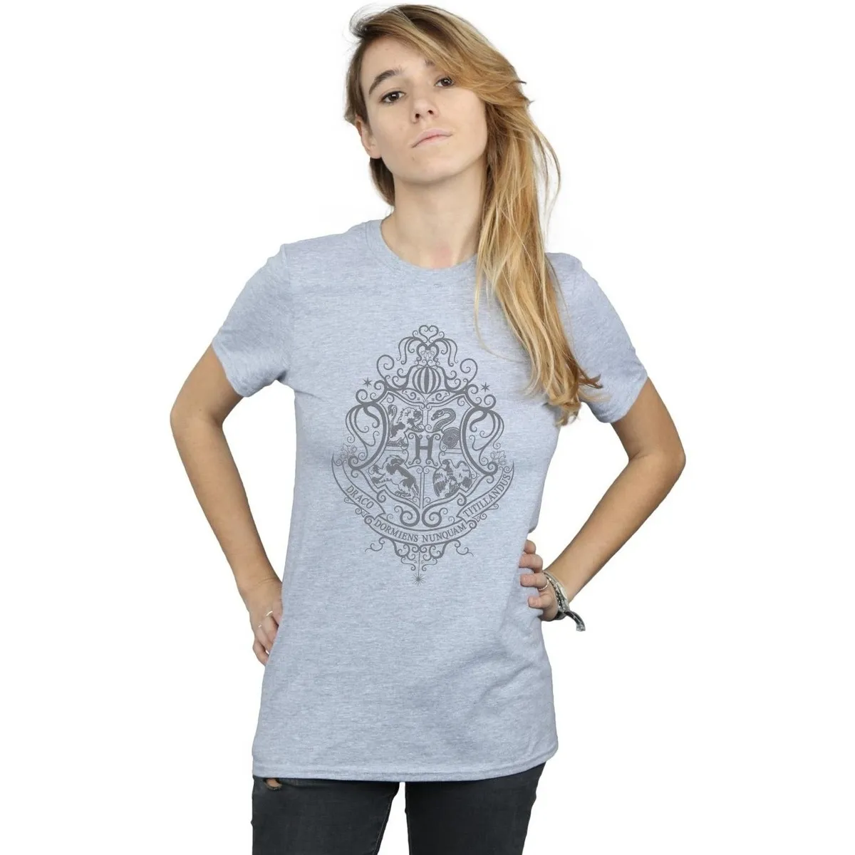 Hogwarts Draco Dormiens Crest