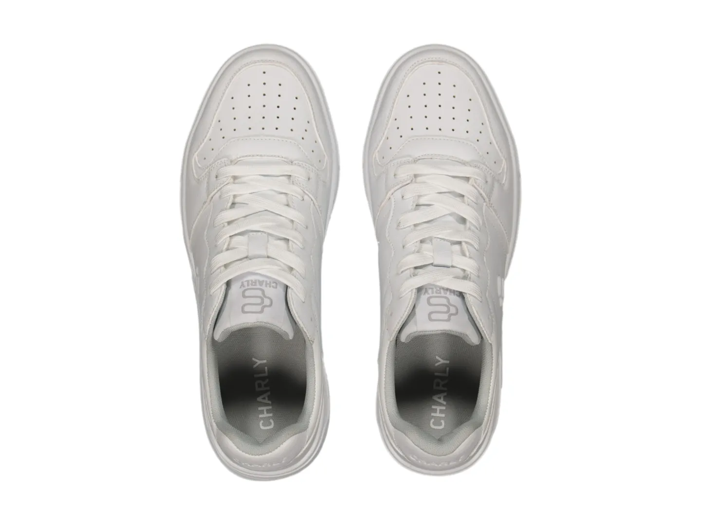 Tenis Charly 1087056 Para Hombre