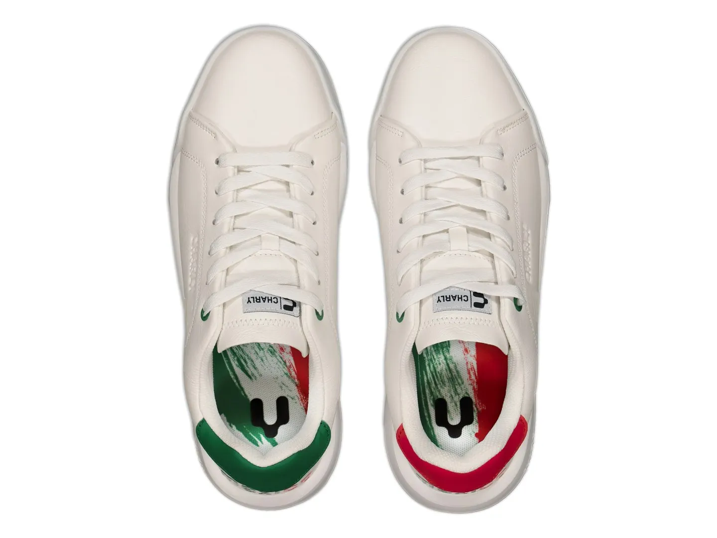 Tenis Charly 87294 Para Hombre