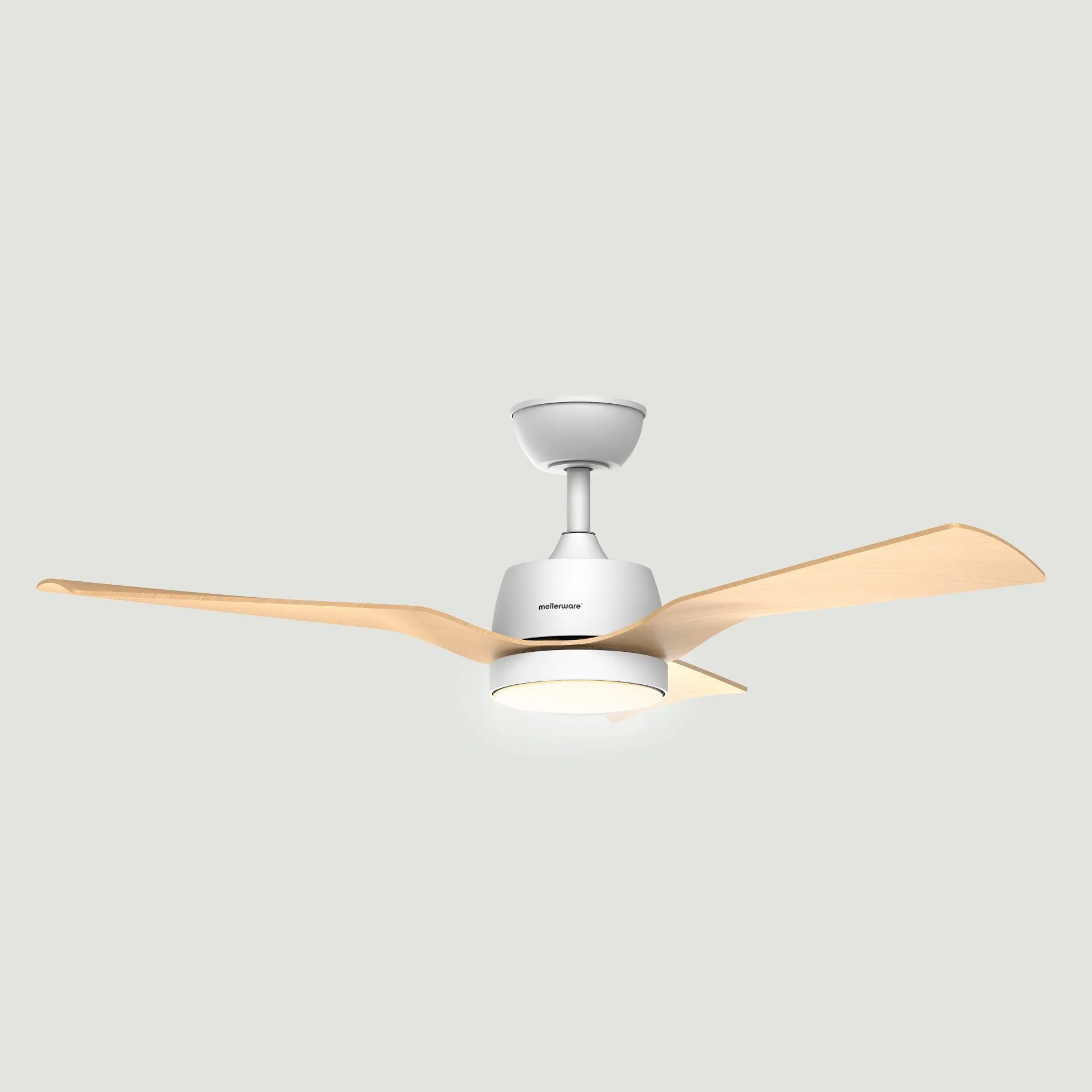 Ventilador de techo Brizy Bright Outdoor