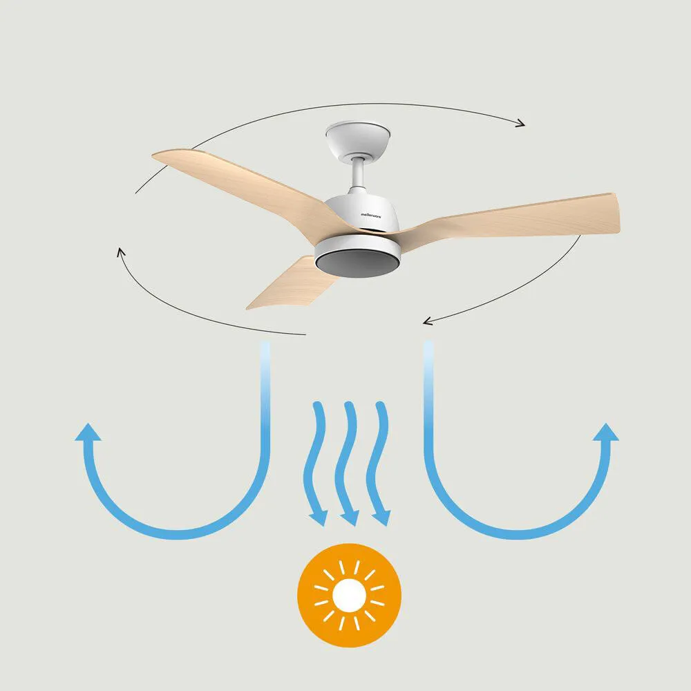 Ventilador de techo Brizy Bright Outdoor