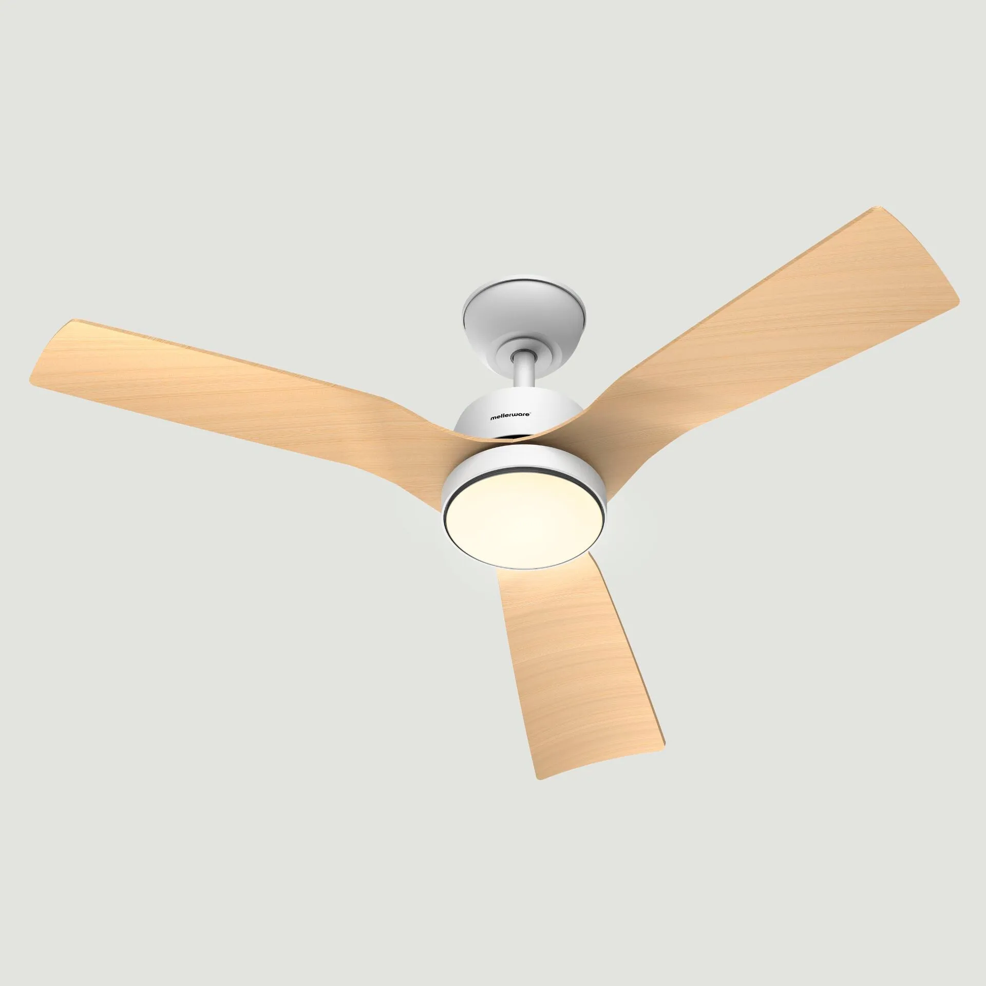 Ventilador de techo Brizy Bright Outdoor