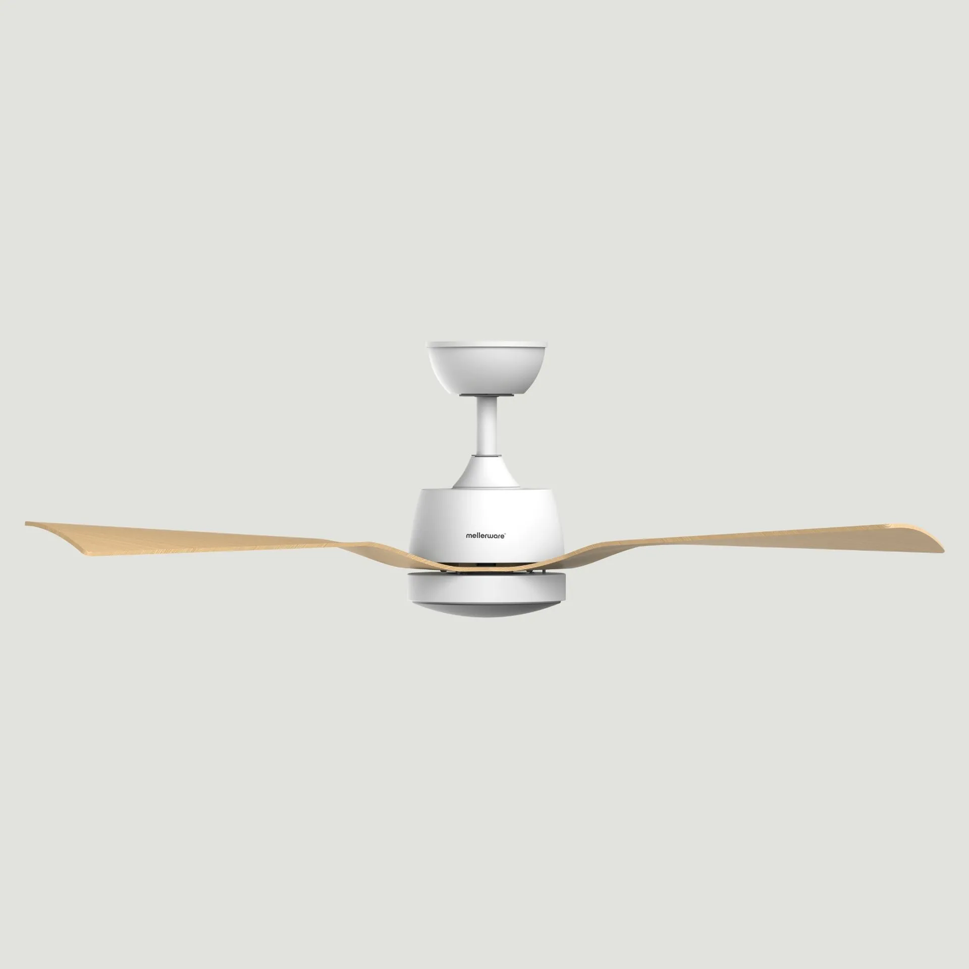 Ventilador de techo Brizy Bright Outdoor