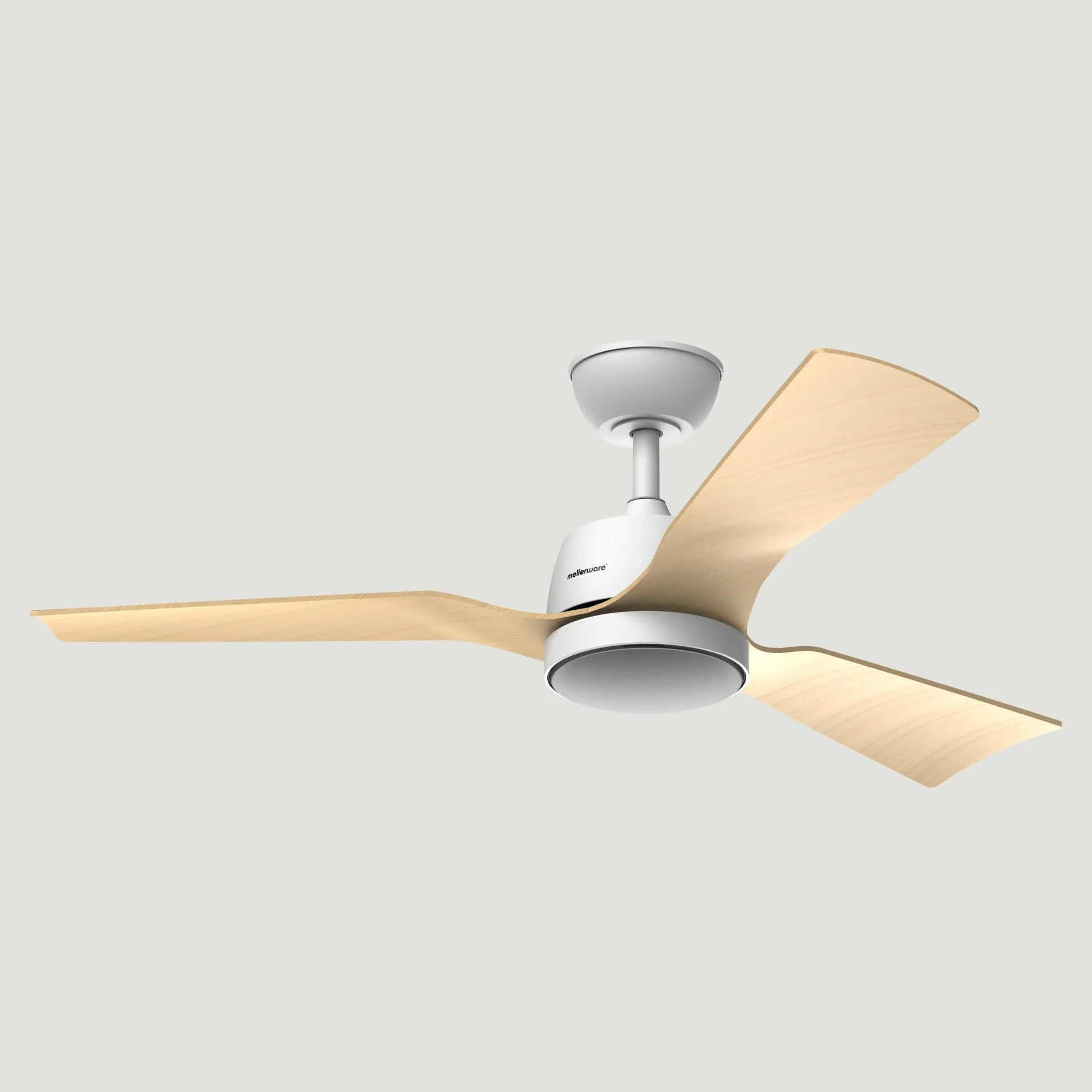 Ventilador de techo Brizy Bright Outdoor