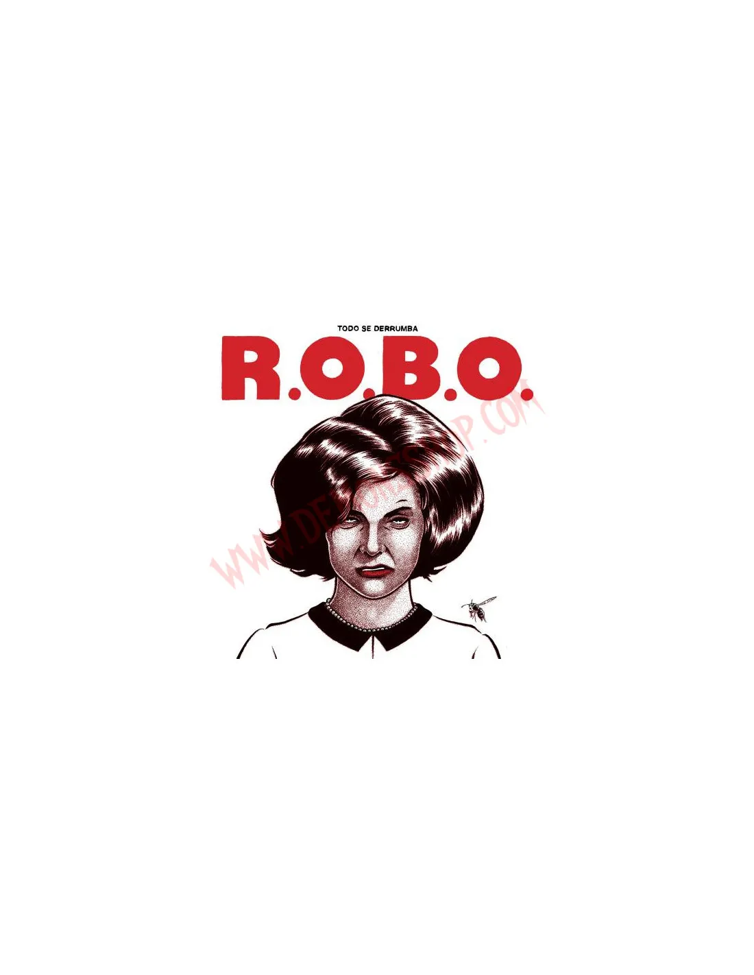 Vinilo LP R.O.B.O. ‎– Todo Se Derrumba